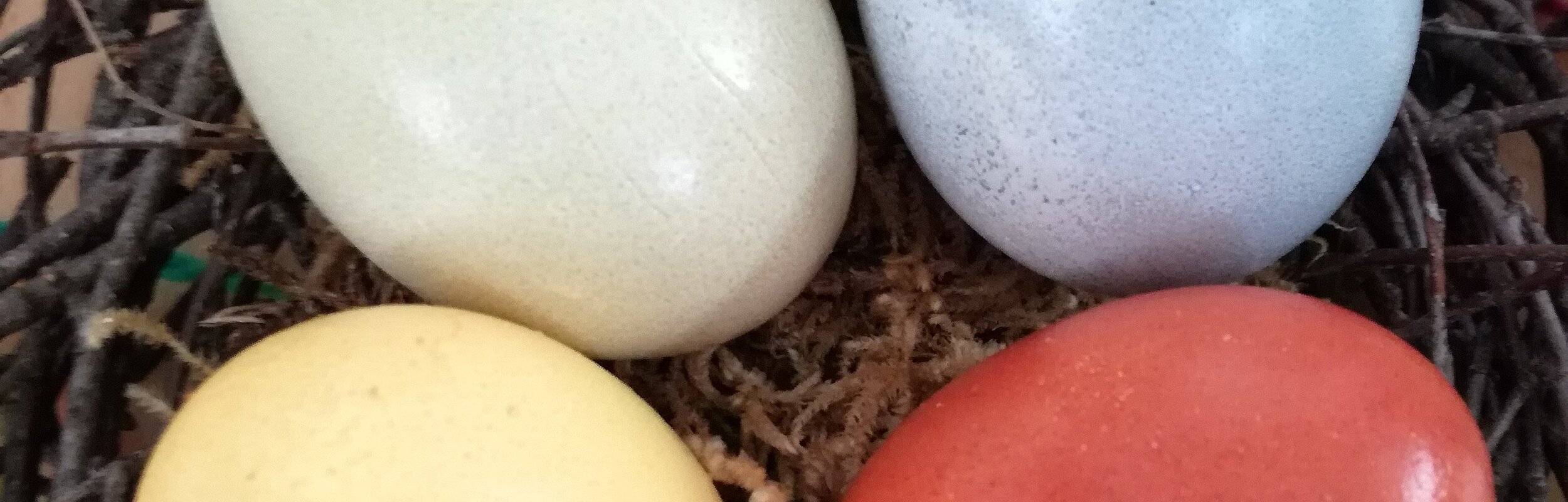 Eier färben - Nest