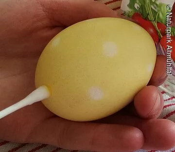 Eier färben - Punkte
